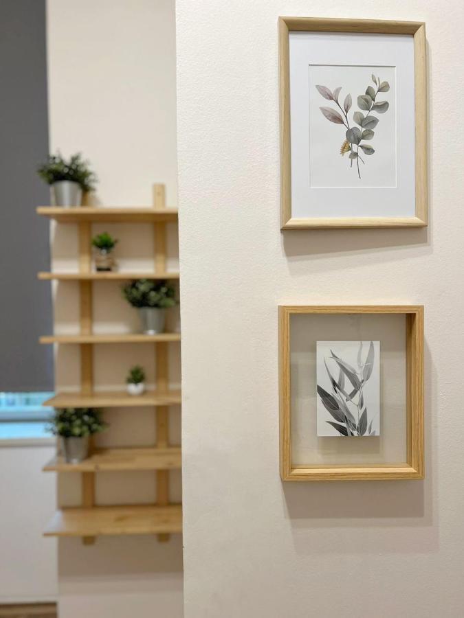 פראג Modern Apartment Krakovska מראה חיצוני תמונה